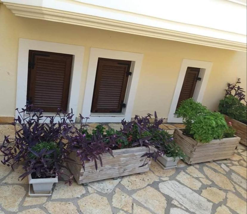 Villa Karolina Tsogkas Sívota エクステリア 写真